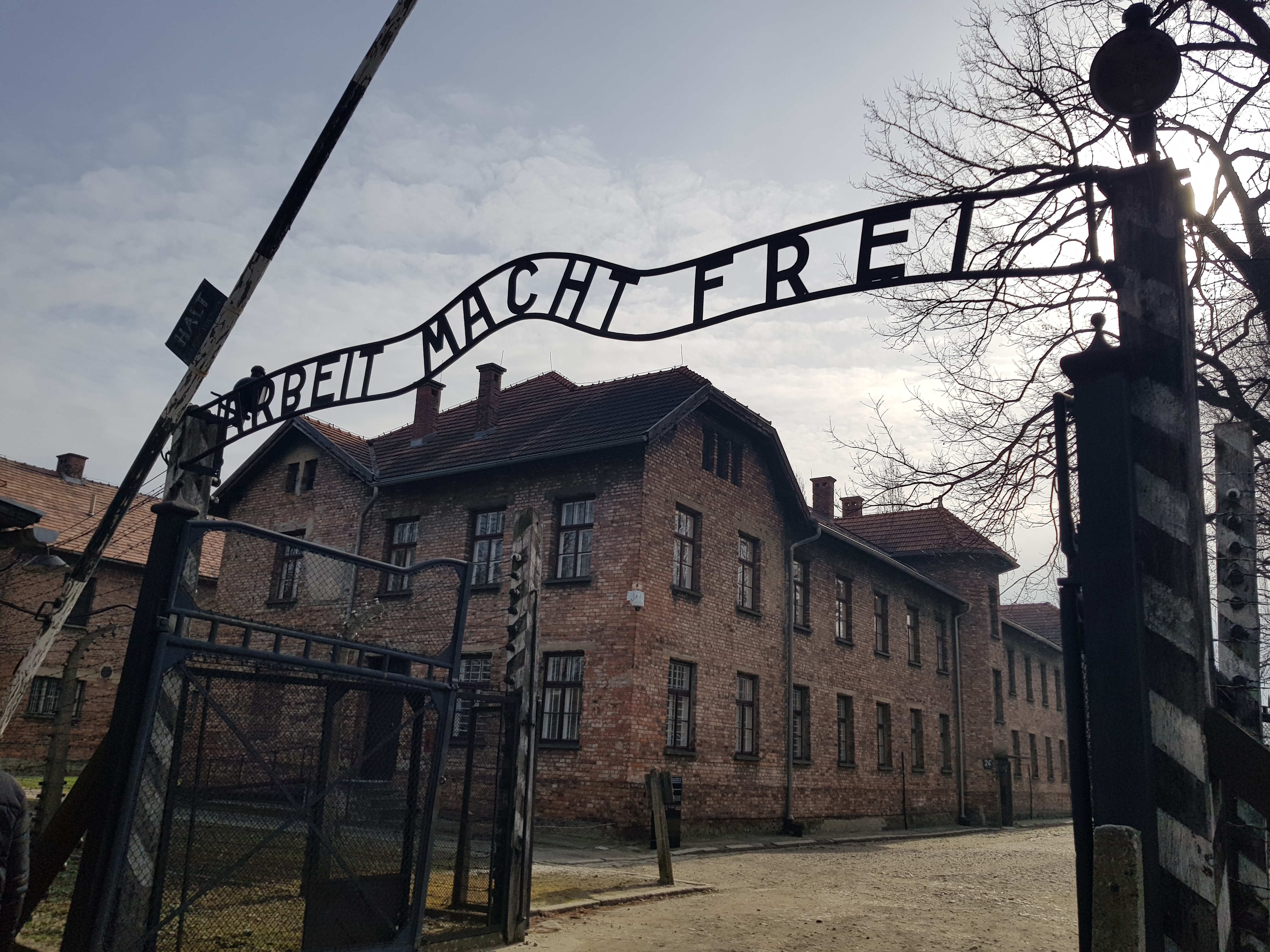 auschwitz2