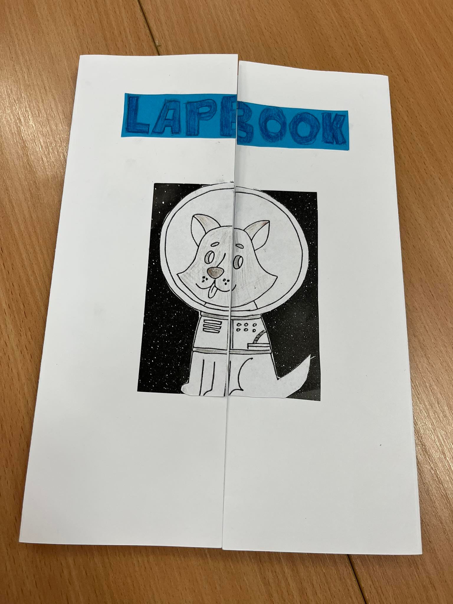 Antoni Fiolek kl. 3a.1