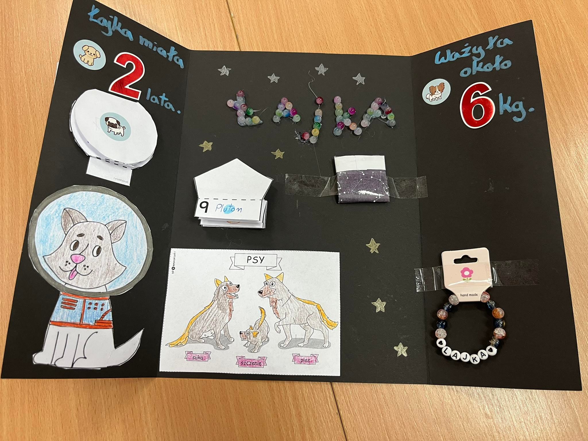 Michalina Szabat kl. 3a.2